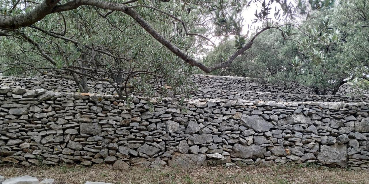 ヴェラ・ルカ House On Puntaヴィラ エクステリア 写真