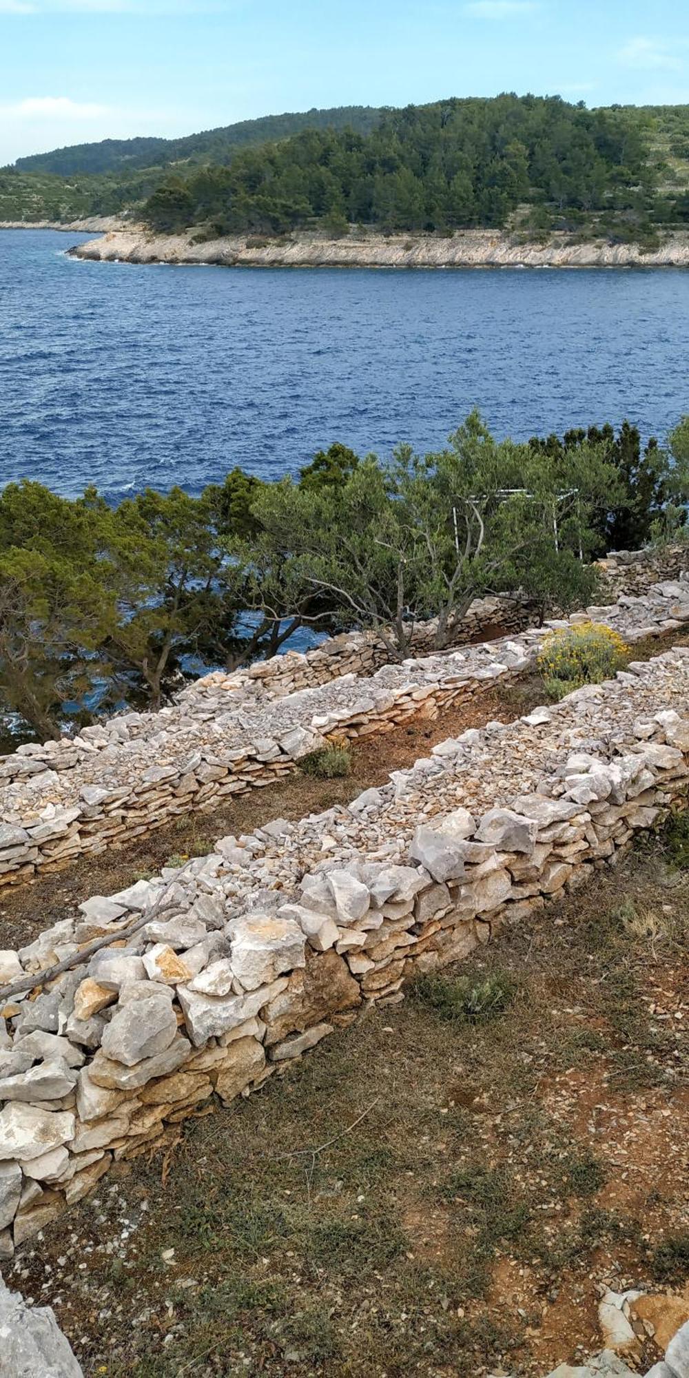 ヴェラ・ルカ House On Puntaヴィラ 部屋 写真