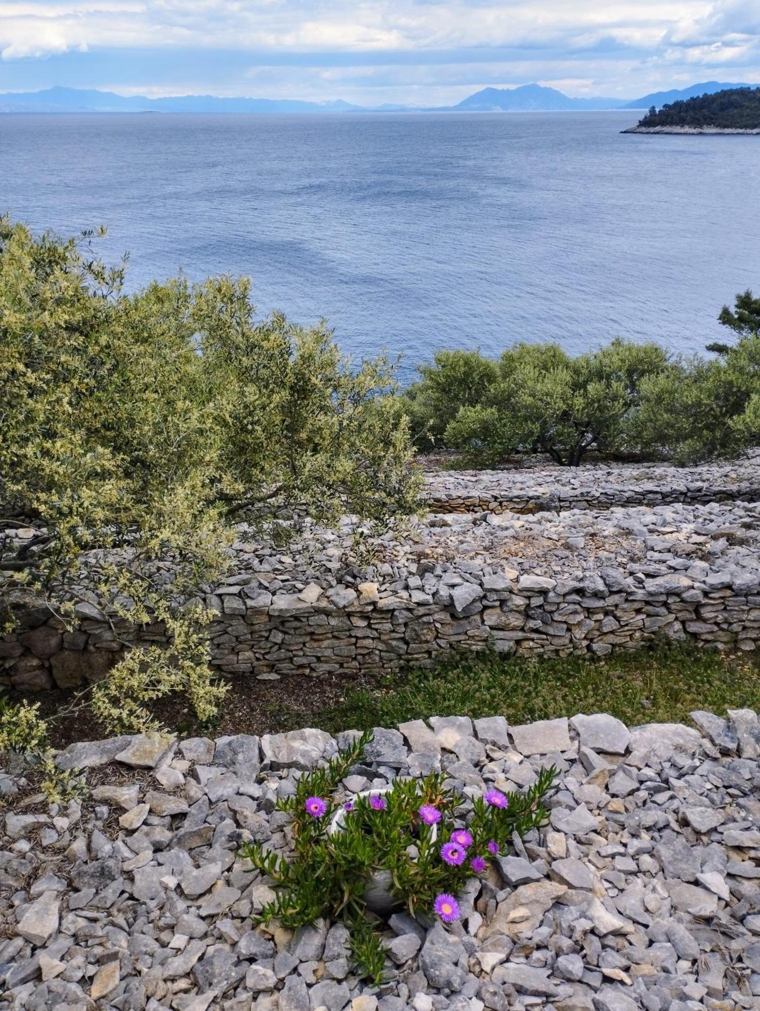 ヴェラ・ルカ House On Puntaヴィラ エクステリア 写真